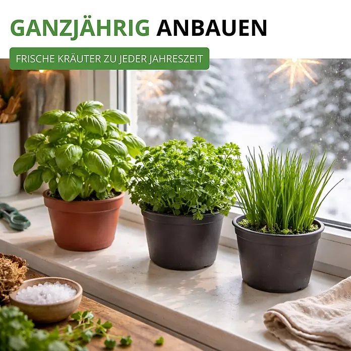 Deine Gartenwelt Kräutersamen-Set mit 10 Sorten -  - Frische Topfkräuter auf einem Fensterbrett mit verschneiter Winterlandschaft, fördert ganzjährigen Innenanbau.