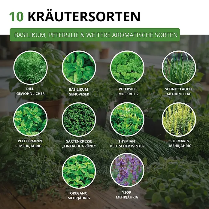 Deine Gartenwelt Kräutersamen-Set mit 10 Sorten -  - Zehn Kräutersorten: Basilikum, Petersilie, Dill, Schnittlauch, Minze, Kresse, Thymian, Rosmarin, Oregano, Ysop, mit Beschriftungen.