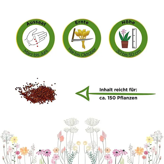 Deine Gartenwelt Majoran Einjährig -  - Informationen zur Saatgutpackung: Aussaat März-Juni, Ernte Mai-Okt, Pflanzenhöhe 30-50 cm. Inhalt für ca. 150 Pflanzen.