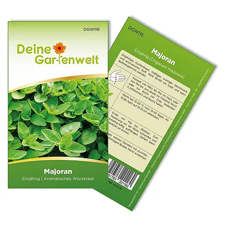 Deine Gartenwelt Majoran Einjährig