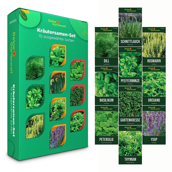 Deine Gartenwelt Kräutersamen-Set mit 10 Sorten -  - Grünes Kräutersamen-Set mit 10 ausgewählten Sorten, daneben einzelne Samentüten von Kräutern wie Dill, Basilikum und Rosmarin.