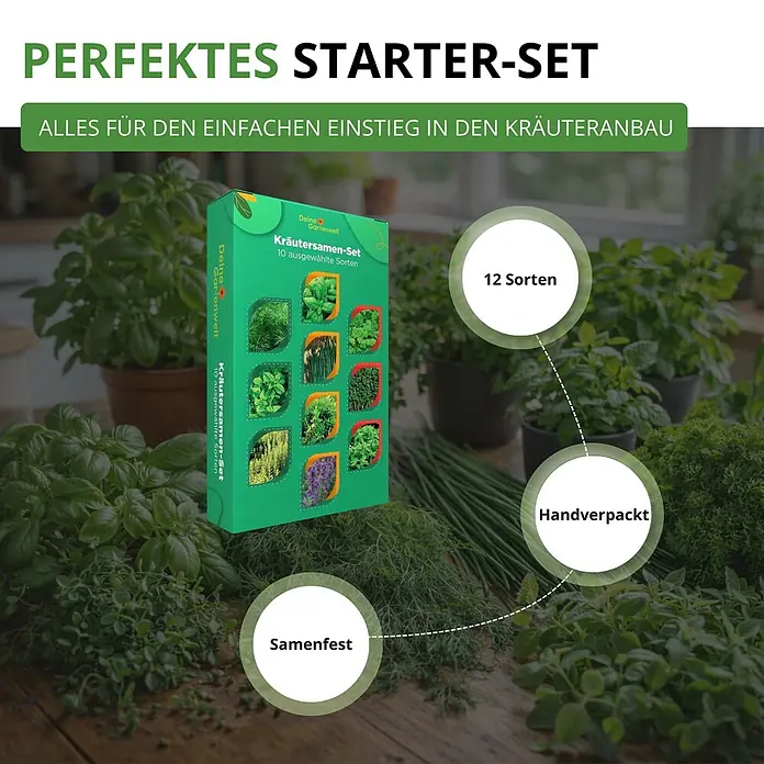 Deine Gartenwelt Kräutersamen-Set mit 10 Sorten -  - Grünes Kräutersamen-Starterset mit 12 Sorten in einer Box, umgeben von frischen Kräutern.