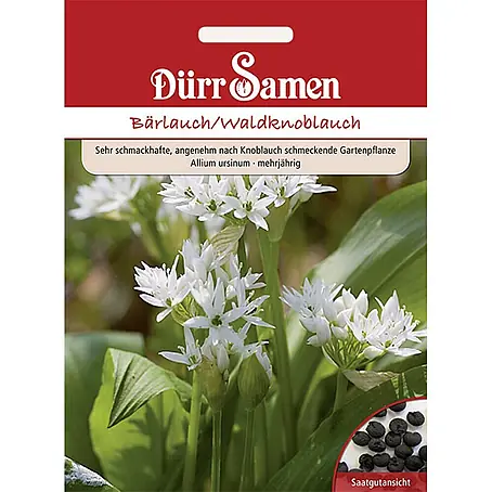 Dürr Samen  Kräutersamen Bärlauch