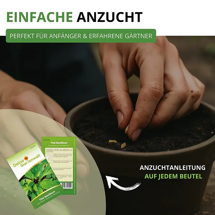 Deine Gartenwelt Kräutersamen-Set mit 10 Sorten -  - Hand pflanzt Samen in Topf. Grüne 'Deine Gartenwelt' Thai Basilikum Samentüten, beworben als 'Einfache Anzucht'.