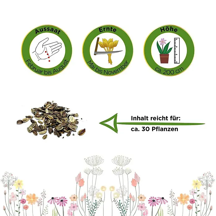 Deine Gartenwelt Kräutersamen Liebstöckel - Levisticum officinale, Saatzeit: Februar, Erntezeit: Mai - Ein Haufen Samen. Daneben Icons für Aussaat (Februar-August), Ernte (Mai-November) und Höhe (ca. 200 cm). Inhalt reicht für ca. 30 Pflanzen.