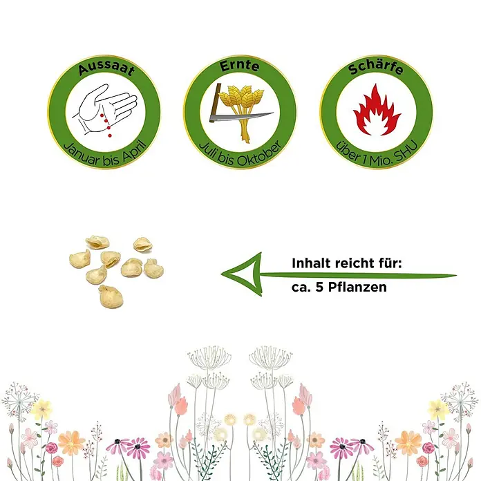 Deine Gartenwelt Gemüsesamen Chili - Capsicum chinense, Erntezeit: Juli - Pfeffersamen mit Infos zu Aussaat, Ernte und über 1 Mio. SHU Schärfe. Inhalt reicht für ca. 5 Pflanzen.