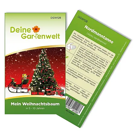 Deine Gartenwelt Nordmanntanne