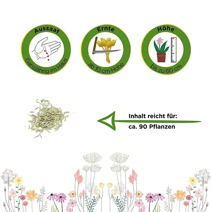Deine Gartenwelt Zyperngras -  - Informationen zu Samen: Aussaat ganzjährig im Haus, Ernte ab 10cm, Höhe bis 60cm. Inhalt für ca. 90 Pflanzen.