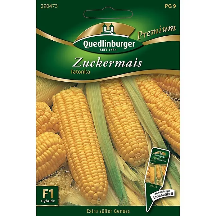 Quedlinburger SAATGUT Gemüsesamen Mais - Zea mays, Erntezeit: Juli - Grüne Samenpackung für Quedlinburger Tatonka F1 Zuckermais, mit gelben Maiskolben und abreißbarem Etikett.