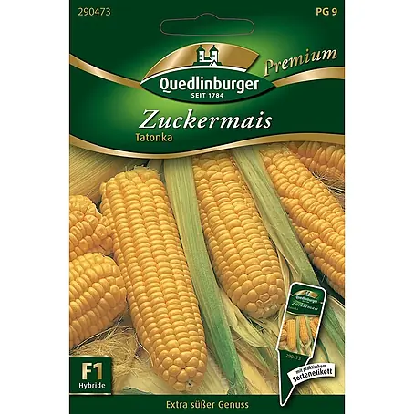 Quedlinburger SAATGUT  Gemüsesamen Mais