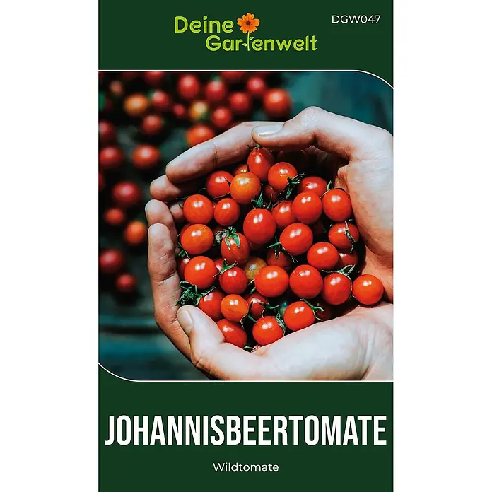 Deine Gartenwelt Johannisbeertomaten -  - Kleine rote Johannisbeertomaten, in Händen gehalten.