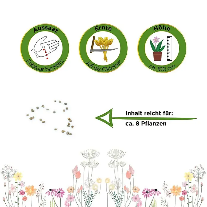 Deine Gartenwelt Johannisbeertomaten -  - Anleitung für Samen: Aussaat Feb-März, Ernte Jul-Okt, Höhe ca. 100 cm. Inhalt reicht für ca. 8 Pflanzen.