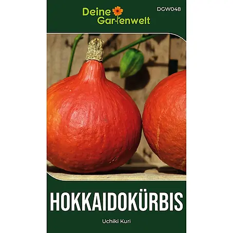 Deine Gartenwelt Hokkaido Kürbis Uchiki Kuri