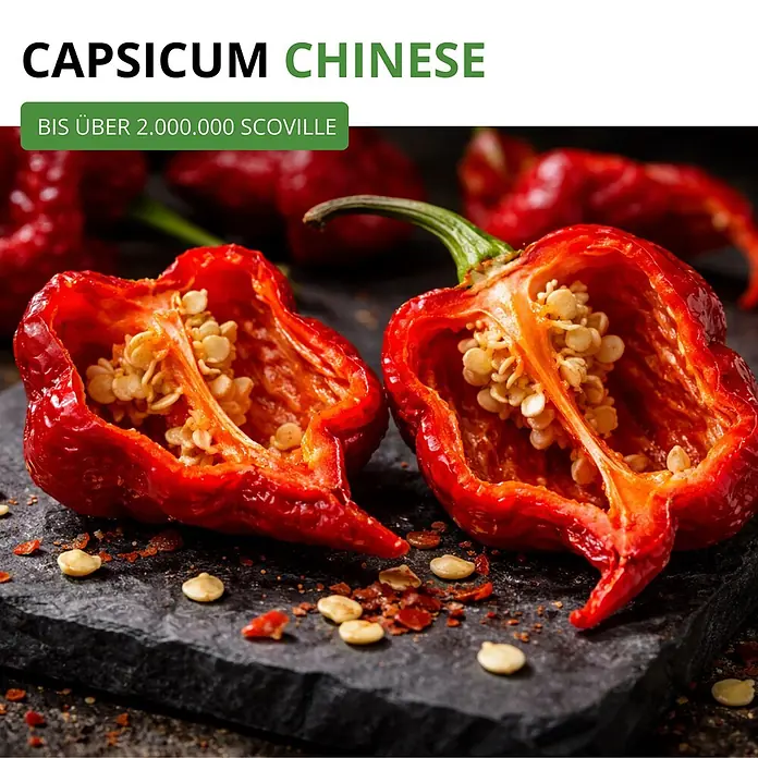 Deine Gartenwelt Chili Trinidad Moruga Scorpion -  - Zwei rote Capsicum Chinese Chilis, halbiert, mit Samen. Über 2.000.000 Scoville.