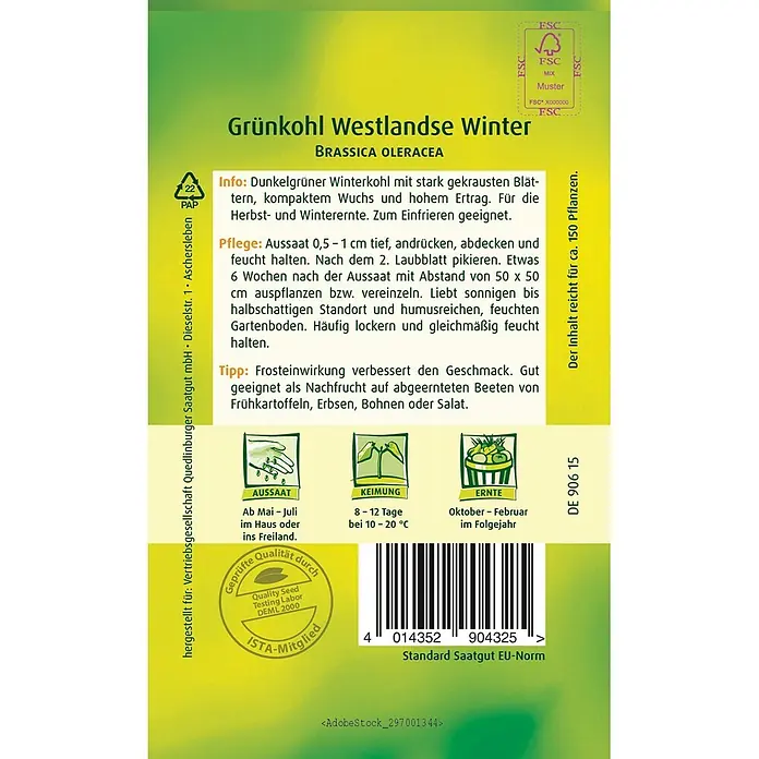 Quedlinburger SAATGUT Gemüsesamen Grünkohl - Brassica oleracea, Erntezeit: Mai - Grün-gelbe Samentüte für 'Grünkohl Westlandse Winter' mit Pflanzanweisungen und Produktinformationen.