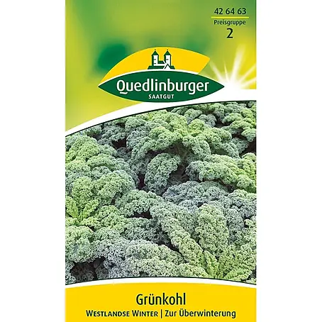 Quedlinburger SAATGUT  Gemüsesamen Grünkohl