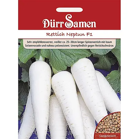 Dürr Samen  Gemüsesamen Rettich