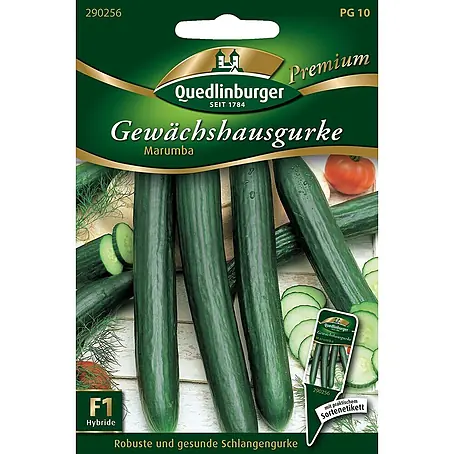 Quedlinburger SAATGUT Gewächshausgurken Marumba
