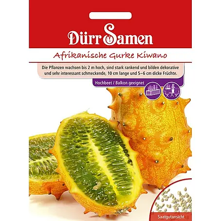 Dürr Samen  Gemüsesamen Gurke