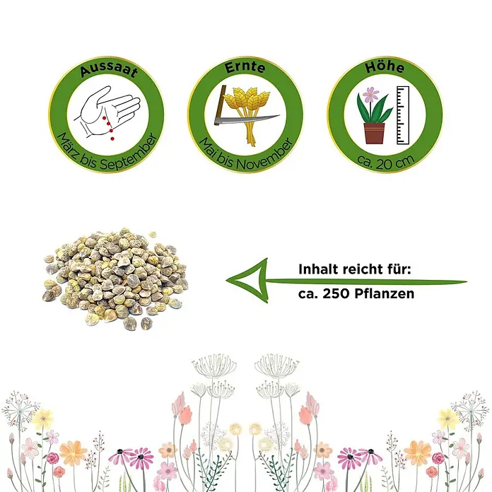 Deine Gartenwelt Spinat Matador -  - Samen mit Aussaat (März-Sept.), Ernte (Mai-Nov.), Höhe (~20cm) und Ergiebigkeit (~250 Pflanzen).