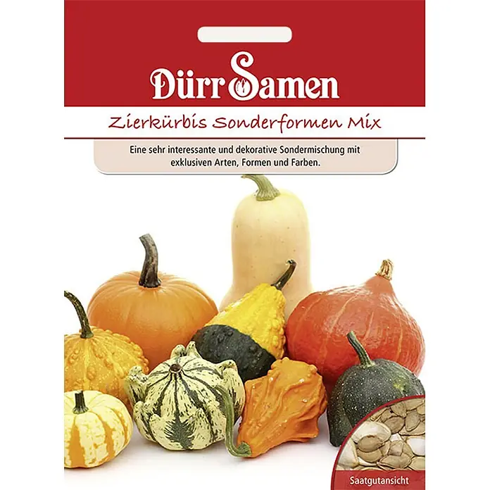 Dürr Samen Gemüsesamen Zierkürbis - Cucurbita pepo, Erntezeit: August - Samenpäckchen für Zierkürbisse, zeigt eine farbenfrohe Mischung verschiedener Formen und Größen, inklusive einer Nahaufnahme der Samen.