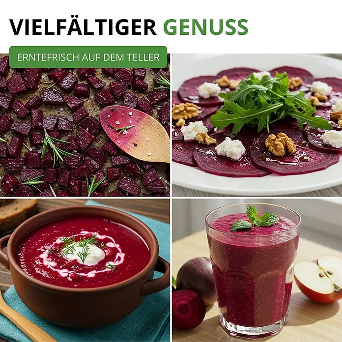 Deine Gartenwelt Rote Beete Rote Kugel 2 -  - Eine Collage mit verschiedenen Rote-Bete-Gerichten: geröstete Würfel, Carpaccio, Suppe und ein Smoothie. Zeigt frische, vielseitige Rote-Bete-Zubereitungen.