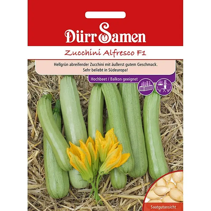 Dürr Samen Gemüsesamen Zucchini - Cucurbita pepo, Erntezeit: Juli - Dürr Samen Zucchini Alfresco F1 Samenpäckchen mit hellgrünen Zucchini, gelben Blüten und Samen. Für Hochbeet/Balkon geeignet.