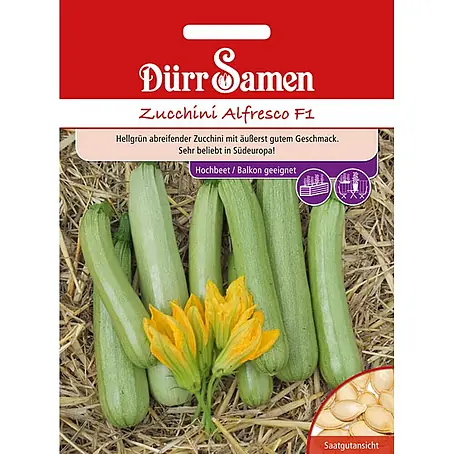 Dürr Samen  Gemüsesamen Zucchini