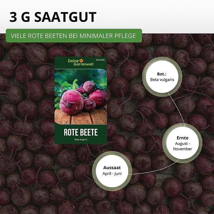 Deine Gartenwelt Rote Beete Rote Kugel 2 -  - Packung 3g Rote Beete 'Rote Kugel 2' Saatgut von Deine Gartenwelt, zeigt Aussaat- & Erntezeiten. Viele Beeten bei minimaler Pflege.
