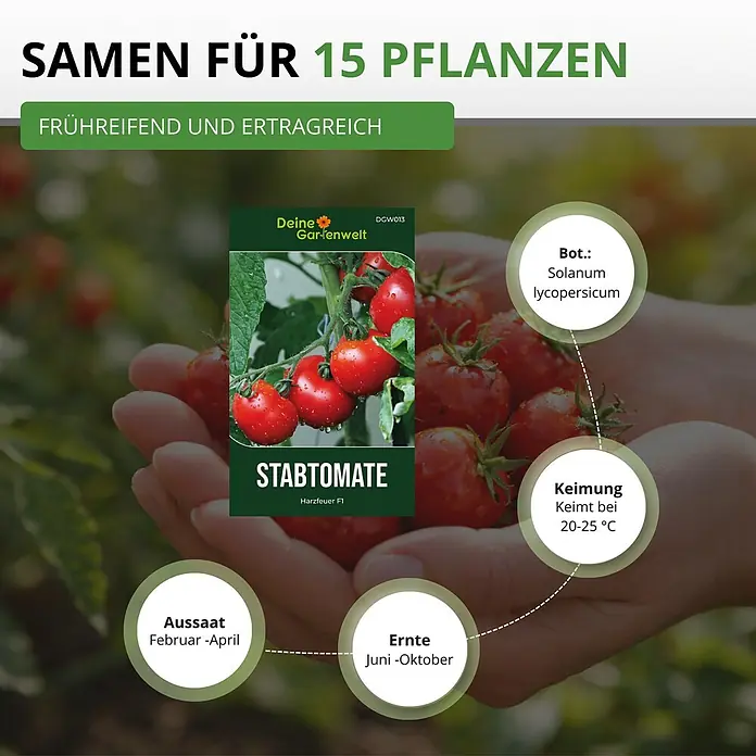 Deine Gartenwelt Stabtomaten Harzfeuer F1 -  - Samen für 15 Stabtomaten 'Harzfeuer F1', frühreif, ertragreich, mit Anbau-Infos zu Aussaat, Keimung, Ernte.