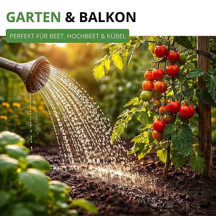 Deine Gartenwelt Stabtomaten Harzfeuer F1 -  - Gießkanne bewässert Tomatenpflanzen im Garten; ideal für Beet, Hochbeet und Kübel.