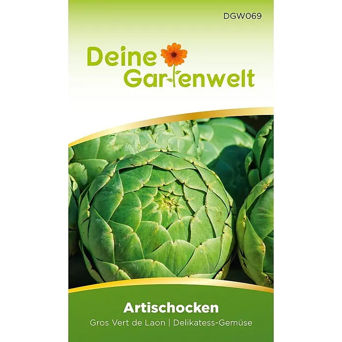 Deine Gartenwelt Artischocken Gros Vert de Laon -  - Frische grüne Artischocken der Sorte 'Gros Vert de Laon', ein Delikatess-Gemüse für den Anbau oder Verzehr.