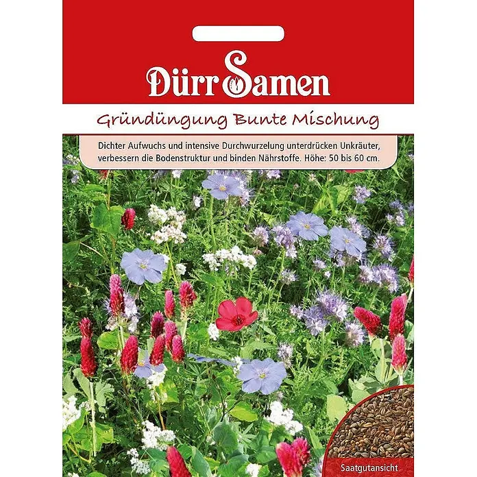 Dürr Samen Gründüngung Bunte Mischung - 500 g für 100 m2 - Rote und weiße Packung Dürr Samen Gründüngung Bunte Mischung, zeigt bunte Blumen und Samen.