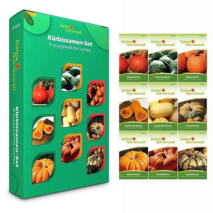 Deine Gartenwelt Kürbissamen-Set mit 9 Sorten -  - Grünes Kürbissamen-Set mit neun ausgewählten Sorten in einer Box und einzelnen Päckchen.