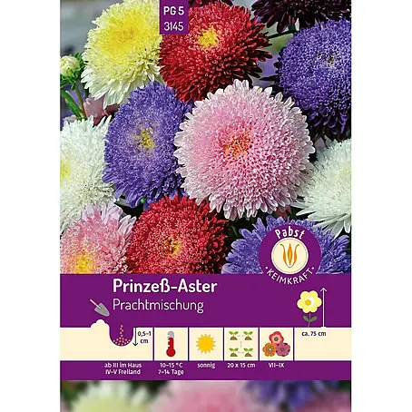 Pabst Keimkraft  Blumensamen Aster