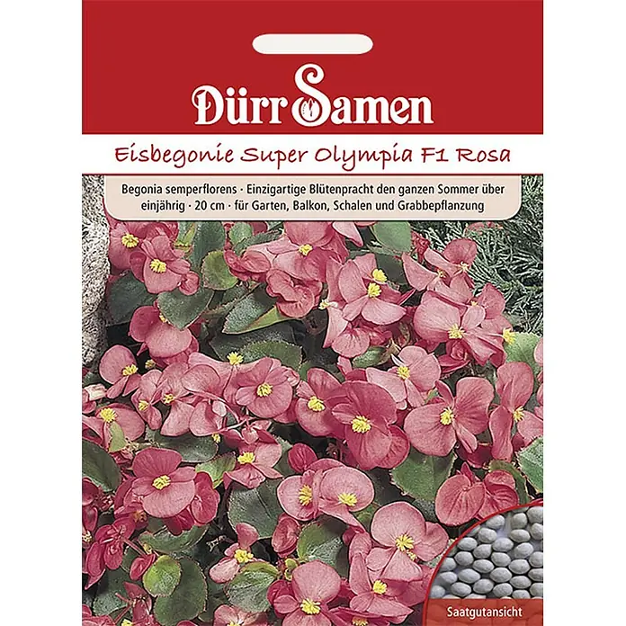 Dürr Samen Blumensamen Eisbegonie - Begonia semperflorens, Rosa - Dürr Samen Eisbegonie Super Olympia F1 Rosa Saatgutpackung mit rosa Begonienblüten und Samenansicht.
