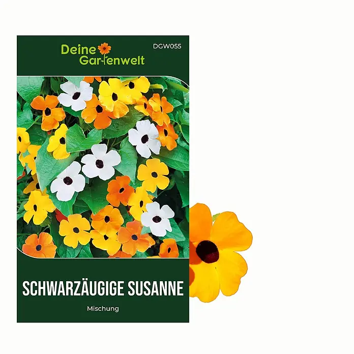 Deine Gartenwelt Schwarzäugige Susanne Mischung -  - Samenpäckchen für Schwarzäugige Susanne Blumen in Weiß, Orange und Gelb mit dunkler Mitte.