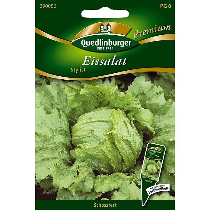 Quedlinburger SAATGUT Salatsamen Eissalat - Lactuca sativa, Erntezeit: Mai, 6,5 g - Grüne Quedlinburger 'Eissalat Stylist' Samenpackung mit großem Bild des Eissalatkopfes.