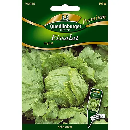 Quedlinburger SAATGUT  Salatsamen Eissalat