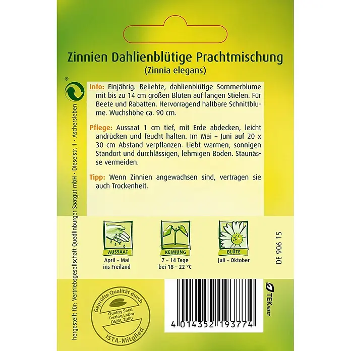 Quedlinburger SAATGUT Zinnien Dahlienblütige Mischung -  - Samenpackung für Zinnien Prachtmischung (Zinnia elegans) mit Pflanzanleitung und Blütezeiten.