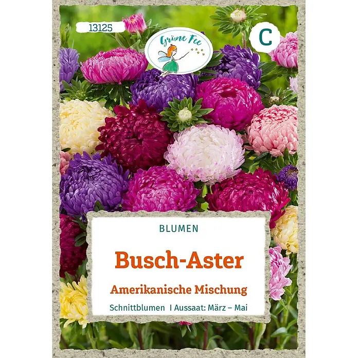 Grüne Fee Busch-Aster Amerikanische Mischung -  - Samenpäckchen 'Busch-Aster Amerikanische Mischung' mit lebhaften rosa, violetten, weißen und gelben Astern.
