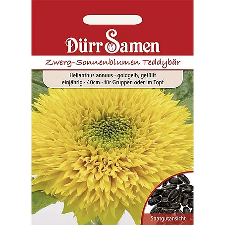 Dürr Samen  Blumensamen Sonnenblume