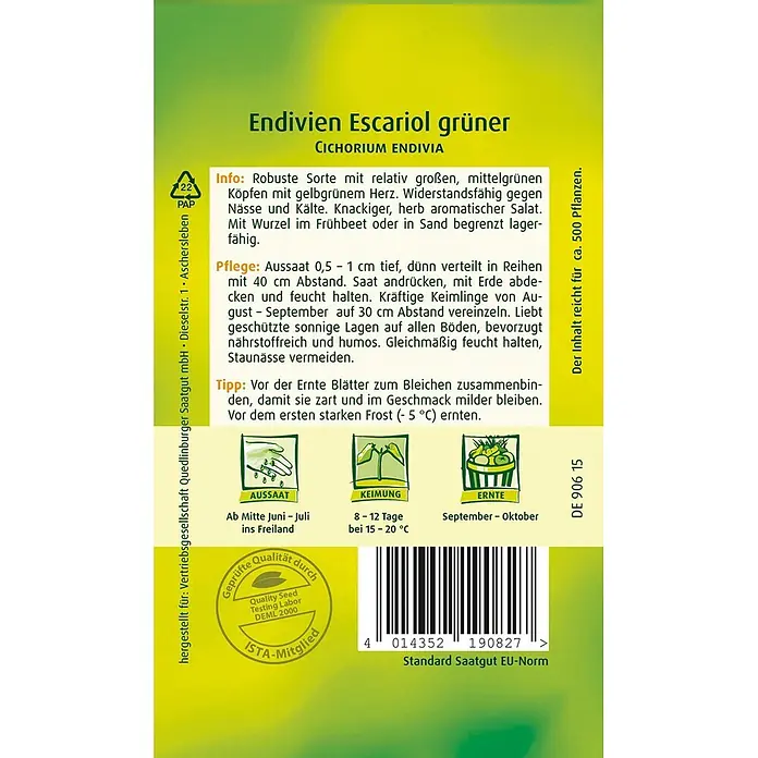 Quedlinburger SAATGUT Salatsamen Endivie - Cichorium endivia, Erntezeit: September, 4,5 g - Grünes und gelbes Samenpäckchen für Endivien Escariol, mit Anbauanleitung, Bildern und Barcode.