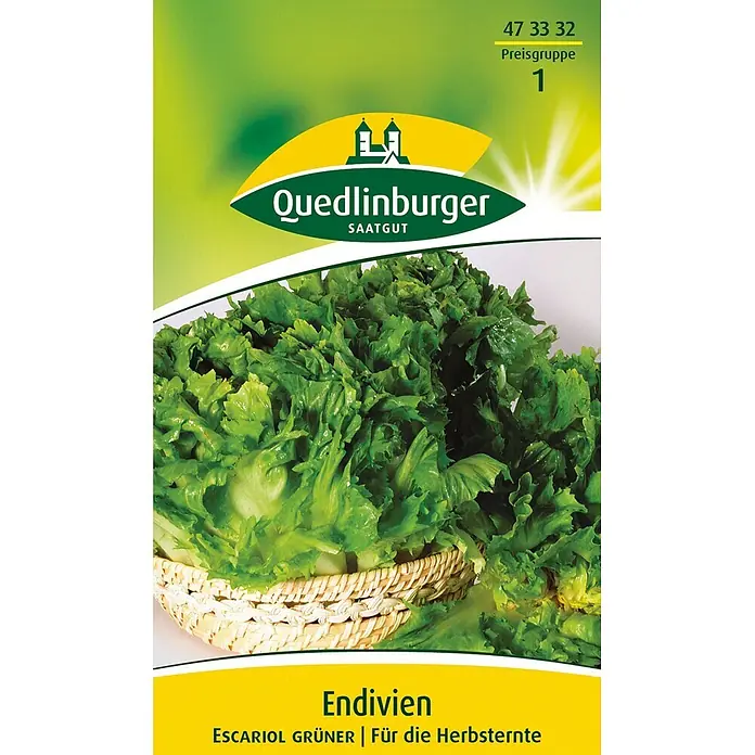 Quedlinburger SAATGUT Salatsamen Endivie - Cichorium endivia, Erntezeit: September, 4,5 g - Saftiger grüner Endiviensalat (Escarol) in einem Korb, bewirbt Quedlinburger Saatgut für die Herbsternte.