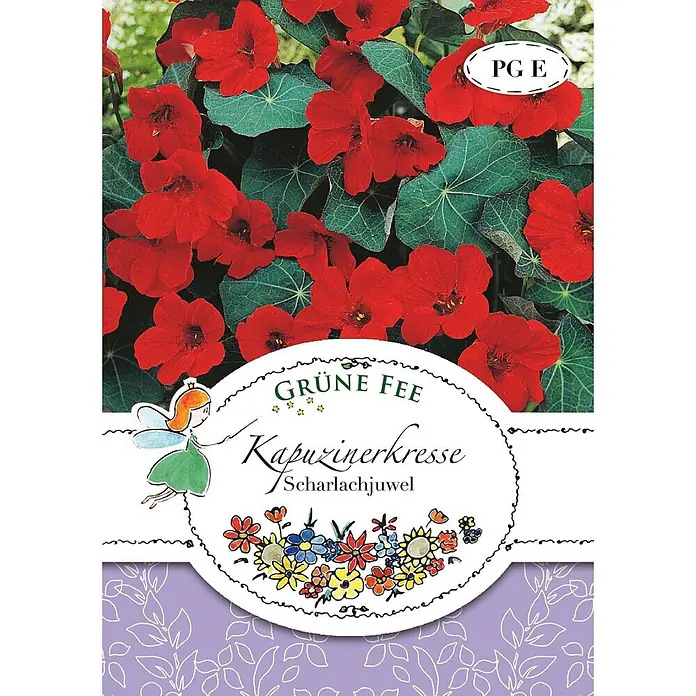 Grüne Fee Blumensamen Kapuzinerkresse - Tropaeolum majus L., Rot - Samentüte 'Grüne Fee Kapuzinerkresse Scharlachjuwel' mit leuchtend roten Blüten und Feenmotiv.