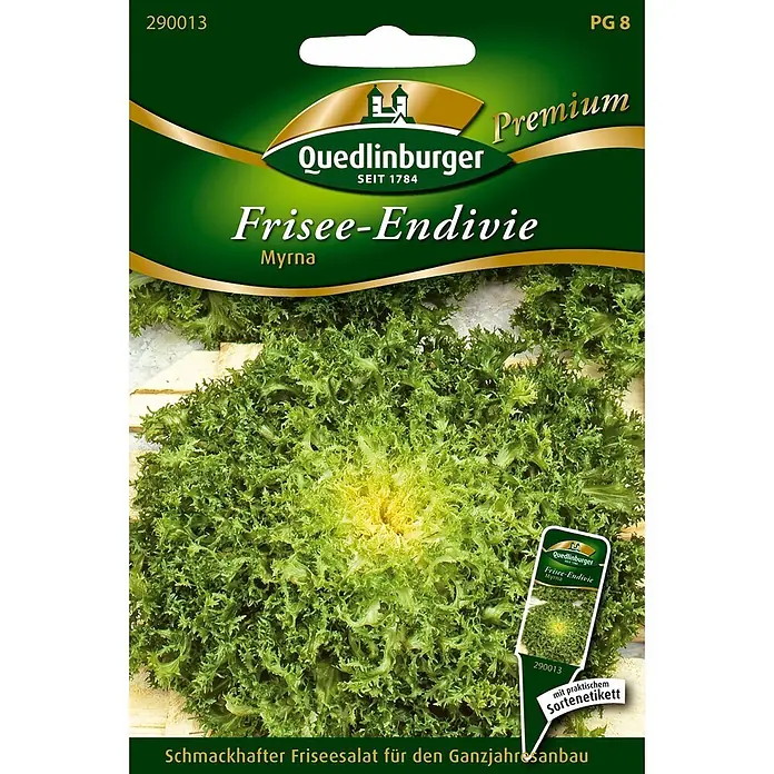 Quedlinburger SAATGUT Salatsamen Endivie - Cichorium endivia, Erntezeit: Mai, 6,5 g - Saatgutpackung für Quedlinburger Frisee-Endivie Myrna, mit Abbildung der krausen, grünen Salatpflanze.