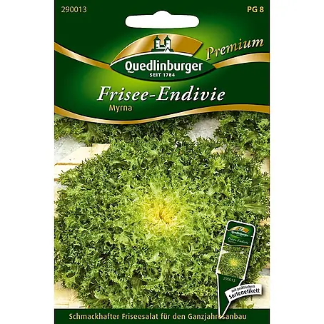 Quedlinburger SAATGUT  Salatsamen Endivie