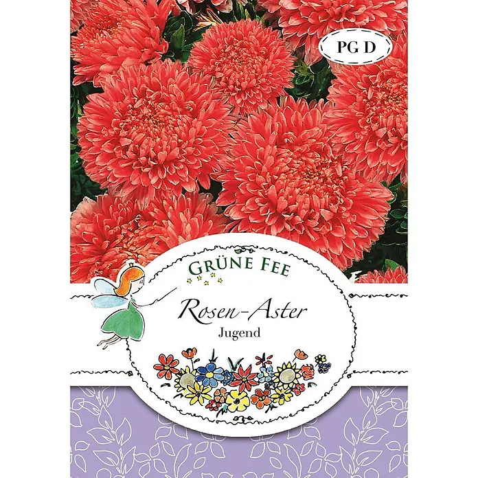 Grüne Fee Blumensamen Aster - Callistephus chinensis (L.) Nees, Rot - Grüne Fee Samen der Rosen-Aster 'Jugend' mit leuchtend roten Blüten und Feen-Illustration auf der Packung.