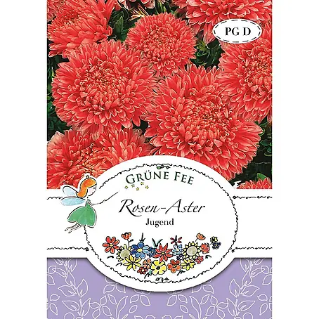 Grüne Fee  Blumensamen Aster