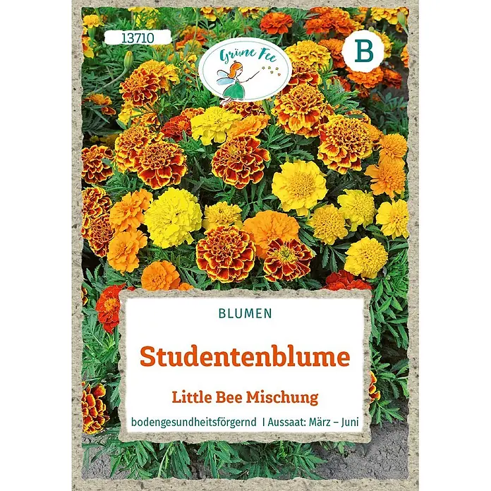 Grüne Fee Blumensamen Studentenblume - Tagetes patula nana, Mehrfarbig - Samentüte für 'Studentenblume Little Bee Mischung' (Ringelblumen-Mix) mit leuchtenden orange-gelben Blüten und Feen-Logo.